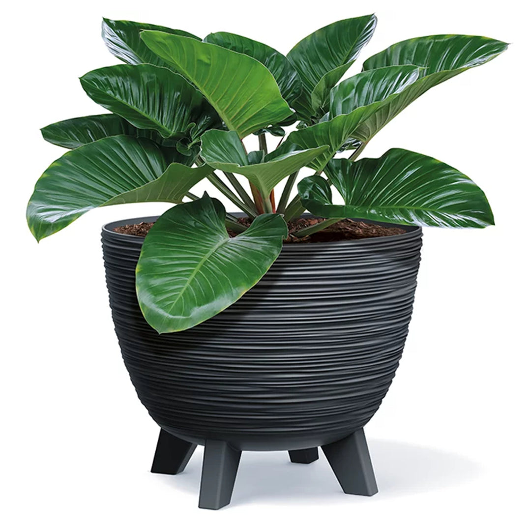 Prosperplast Furu Blumentopf, Schale mit Füßen, Pflanzschale, UV-strah – Euroelectronics DE